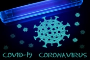 Солнышко в борьбе с COVID-19